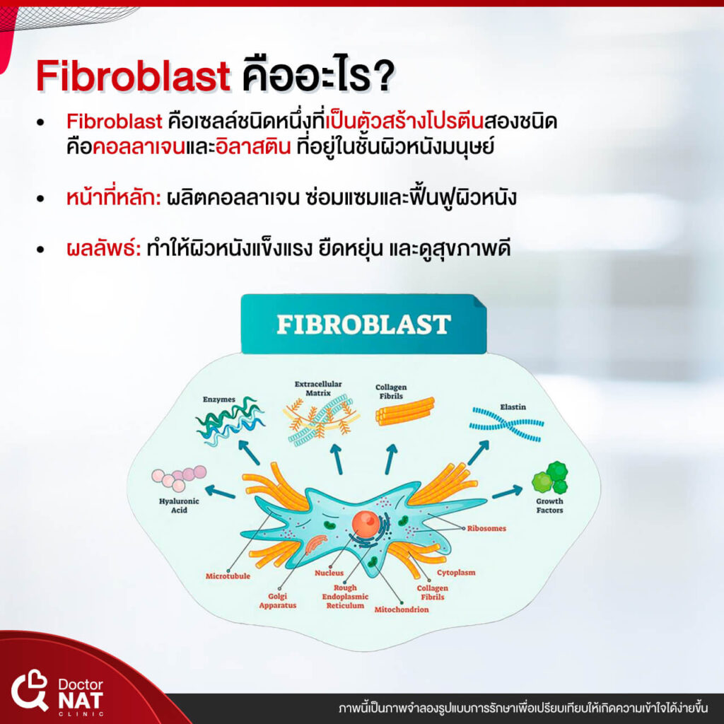NASS for Nose Surgery Doctor NAT Clinic
