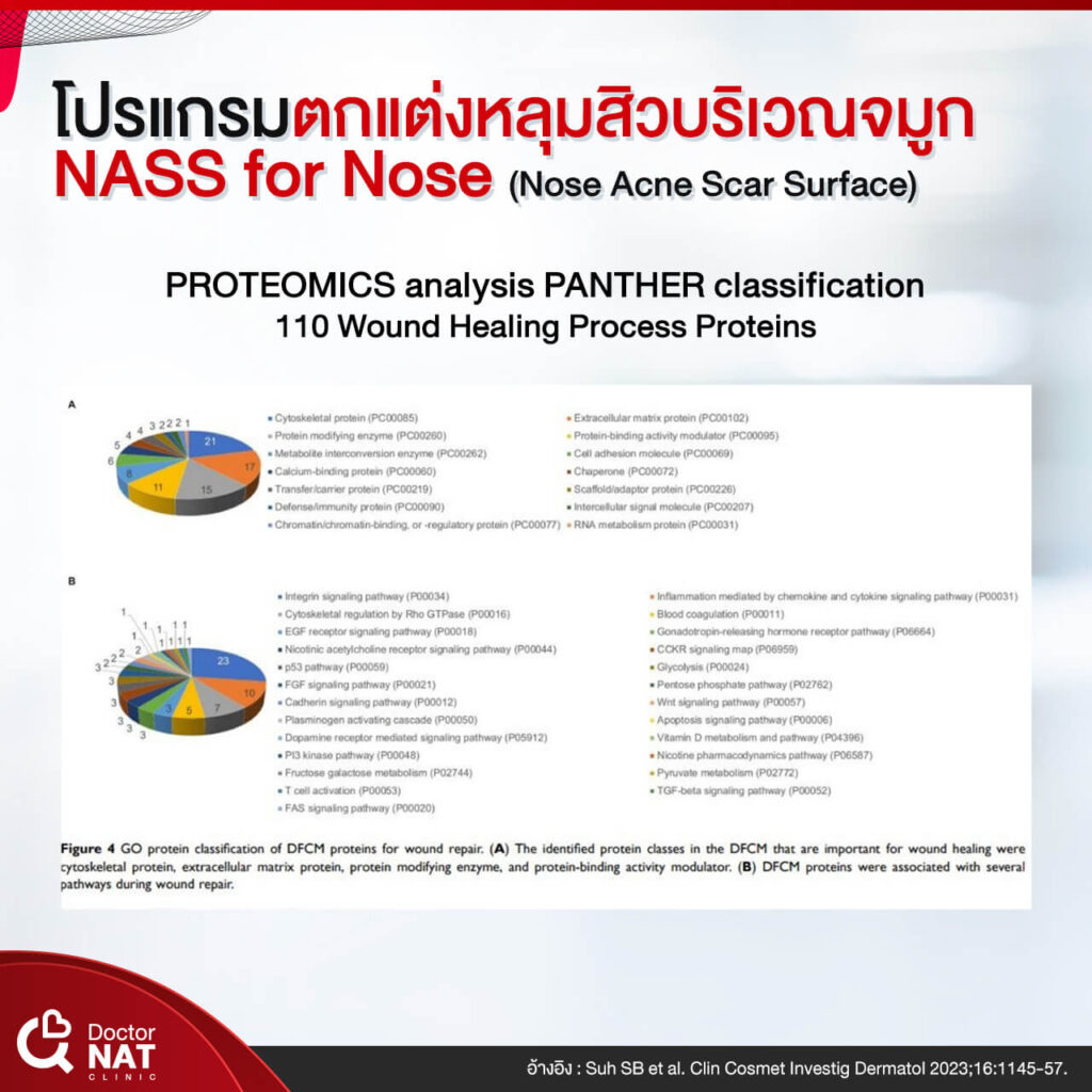 NASS for Nose Surgery Doctor NAT Clinic