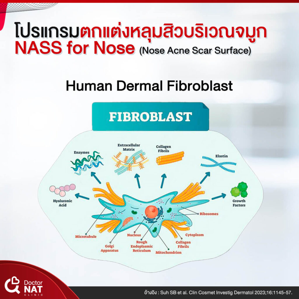 NASS for Nose Surgery Doctor NAT Clinic