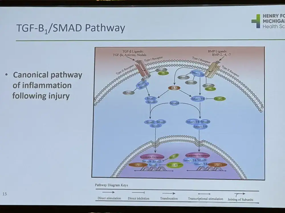 หมอแนทร่วมประชุม SCARS Congress 2023